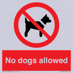 No dogs allowed